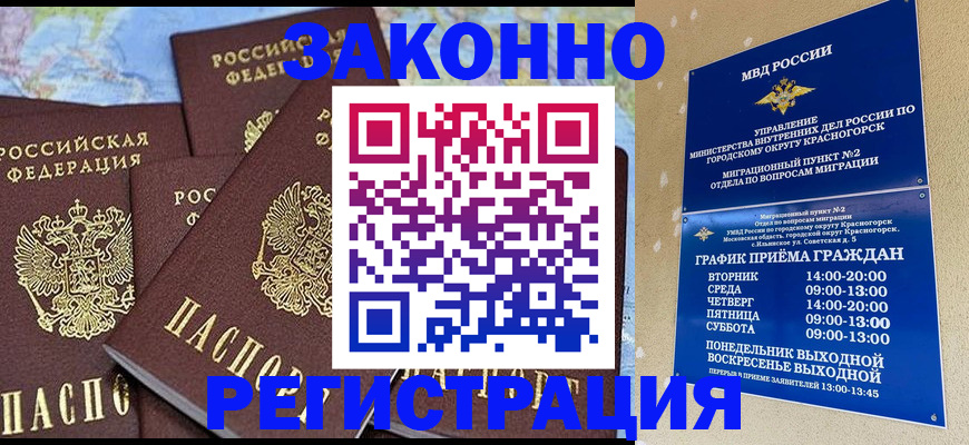 временная регистрация надежно в Волосово